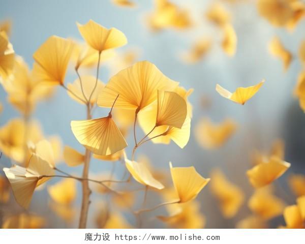 立秋飘落在空中的金黄色银杏叶子特写秋天风景壁纸
